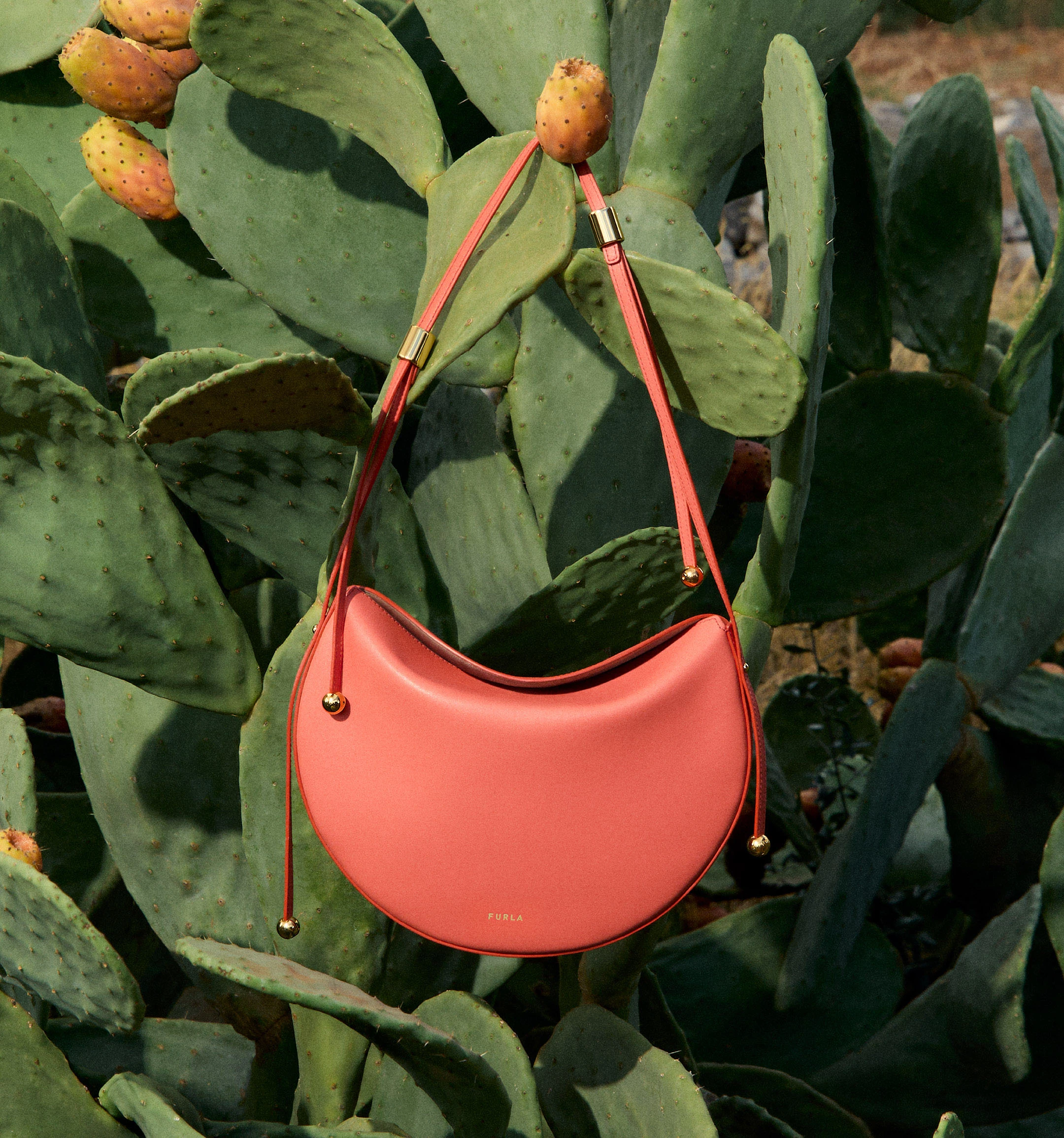 Editorial campaign 2